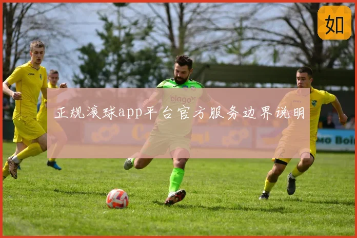 正规滚球app平台官方服务边界说明